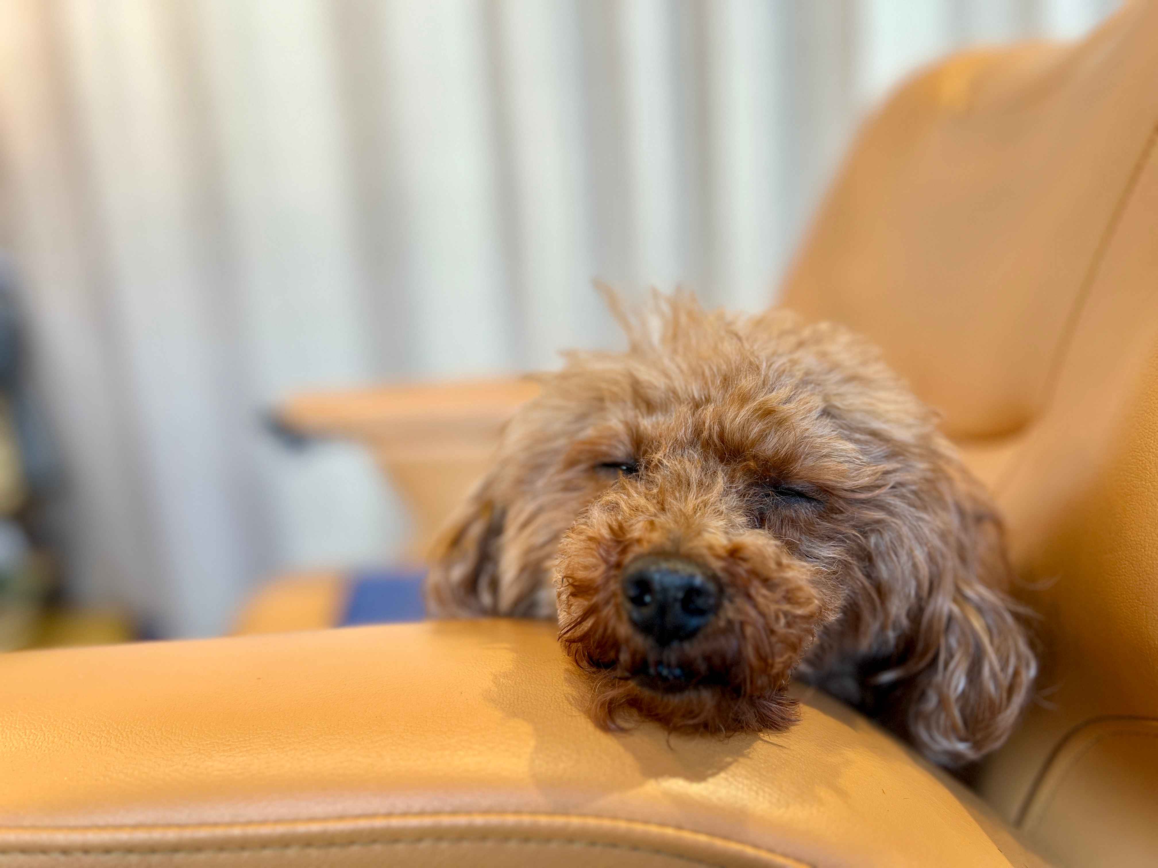 はんなりさろん和屋内観2