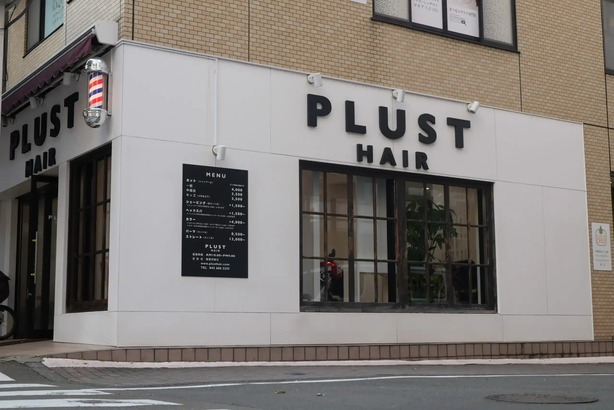 PLUST HAIR