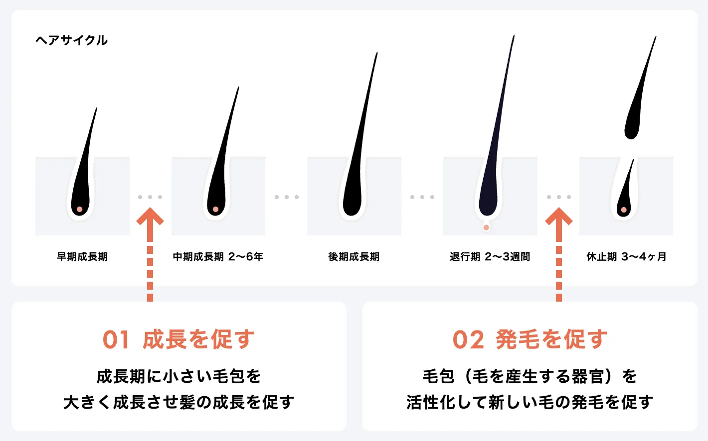 ヒックス ミノキシジル5の商品・成分解説