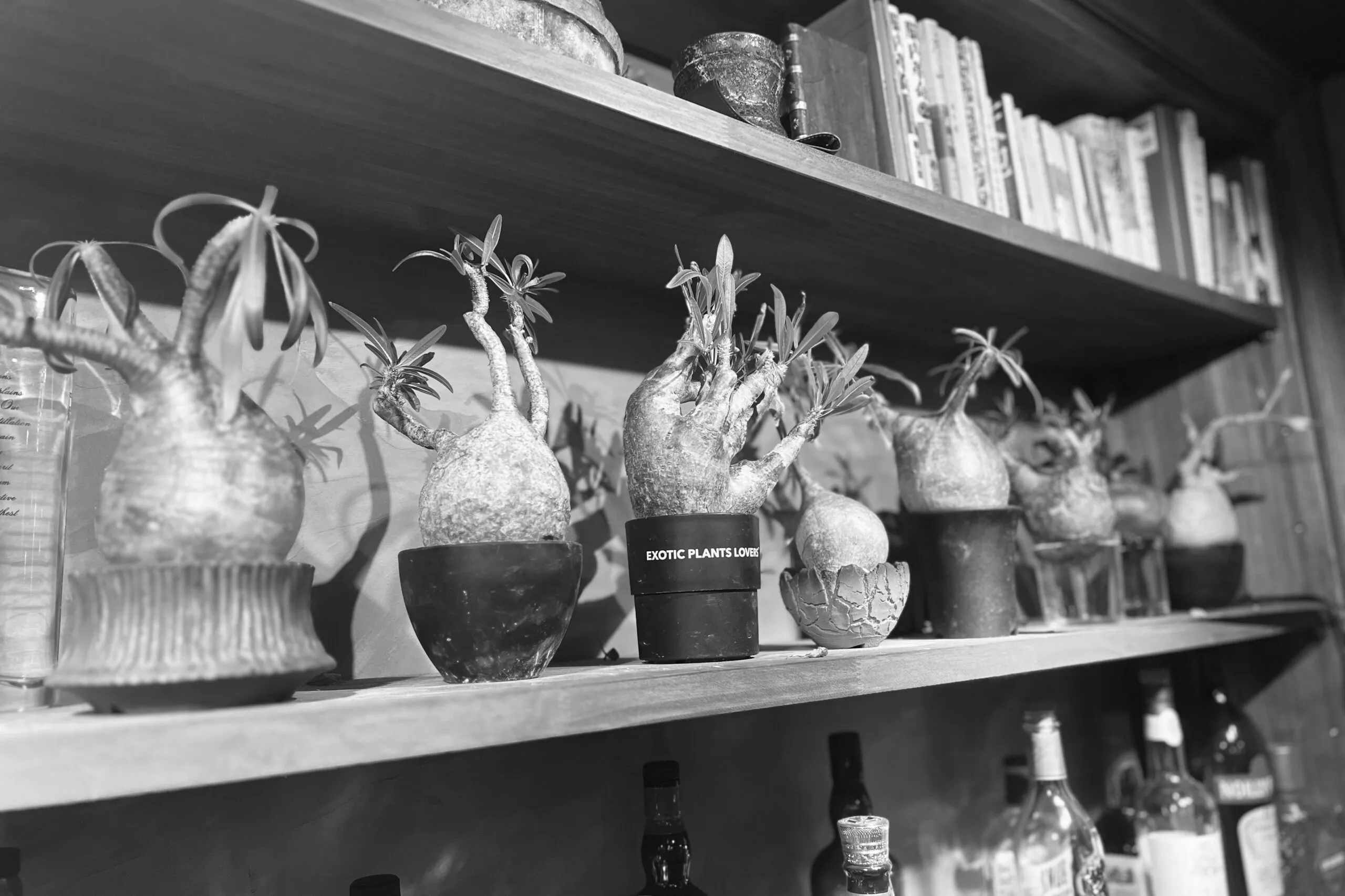 お客様へのメッセージ