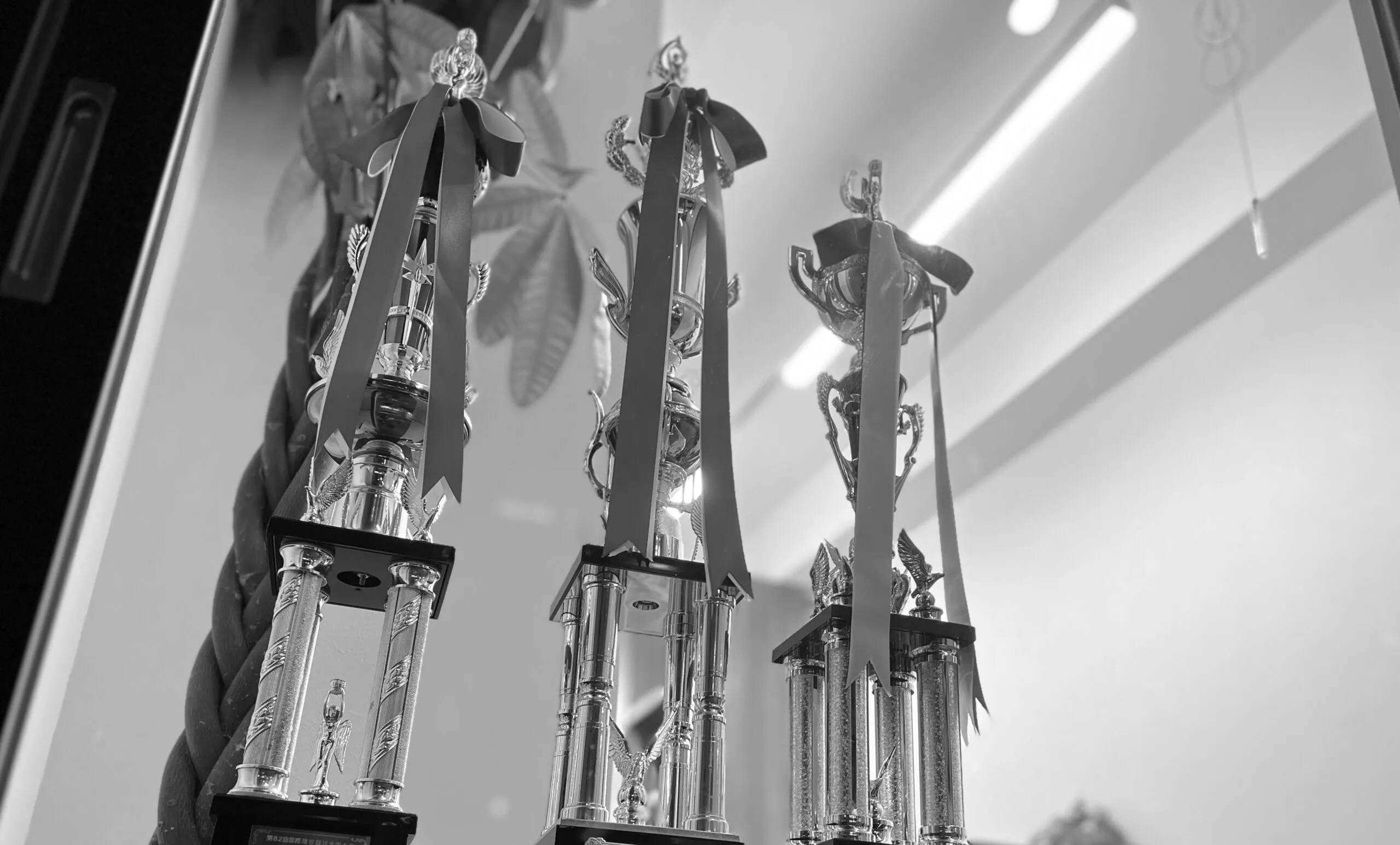 未来の理容師に向けたメッセージ