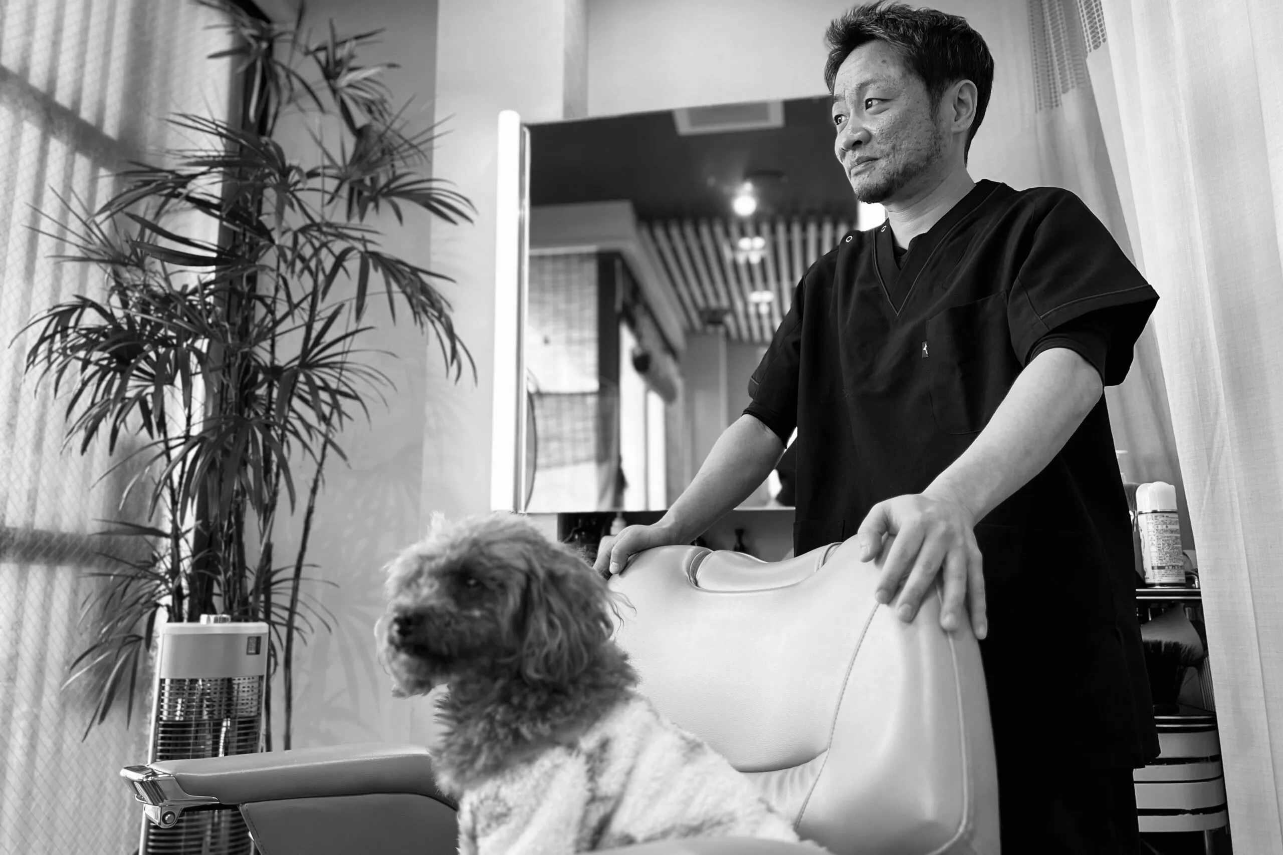 理容業界への思い