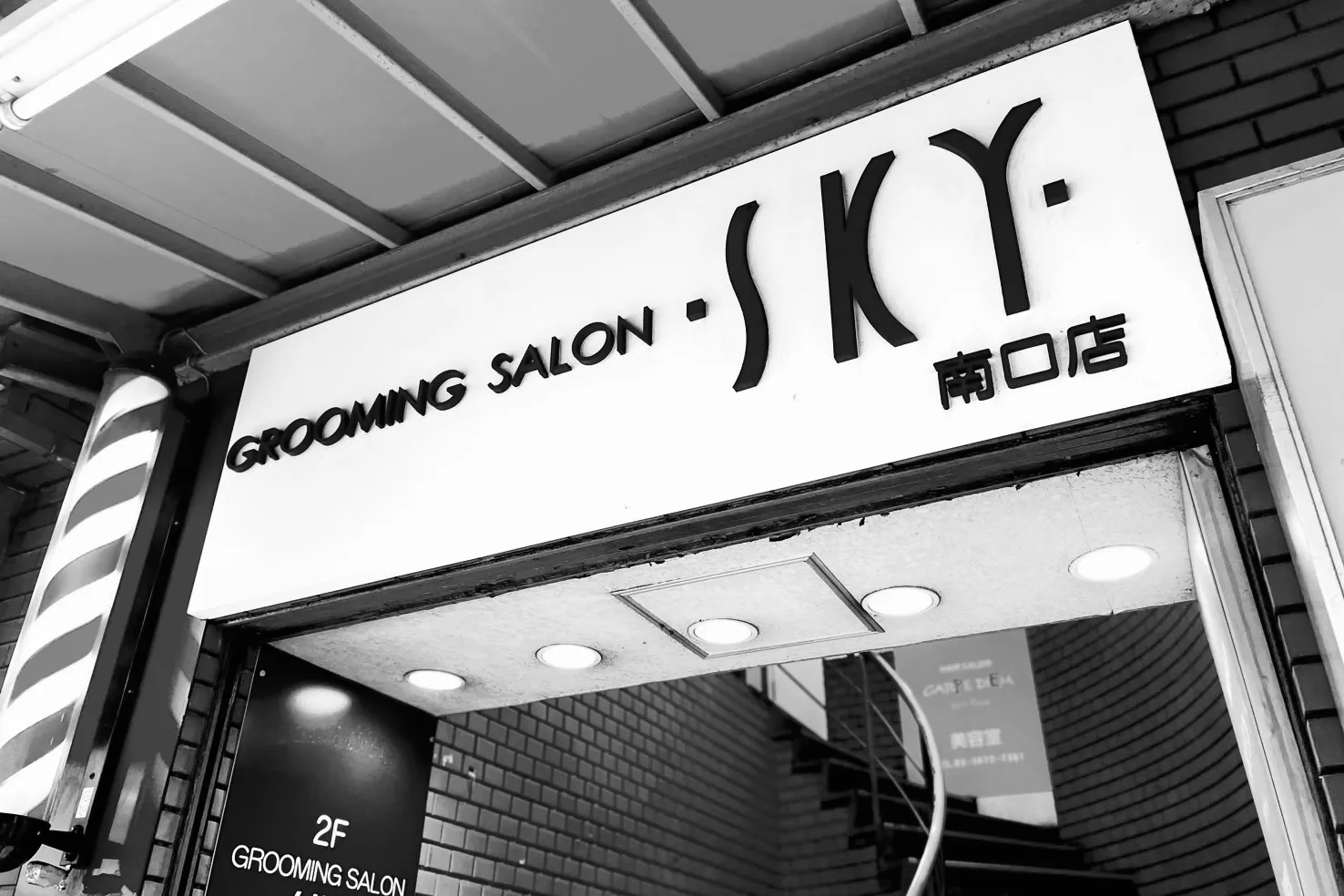 サロン風景1
