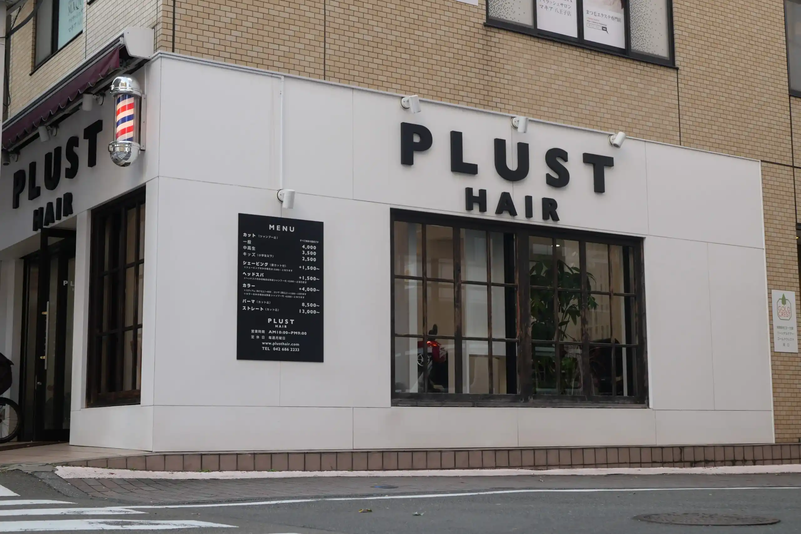 PLUST HAIR