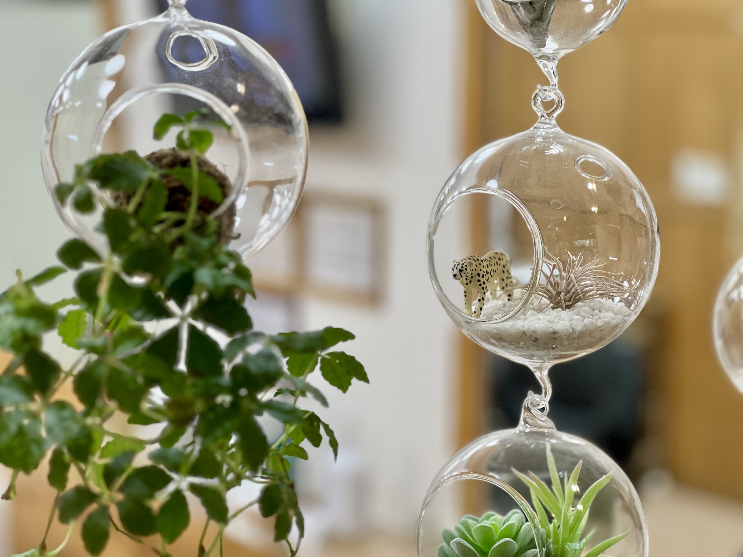 サロンイメージ