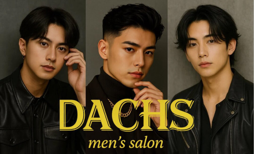 DACHS (ダックス)